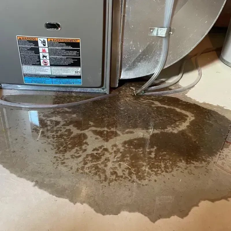 Appliance Leak Cleanup in Montgomery, WV